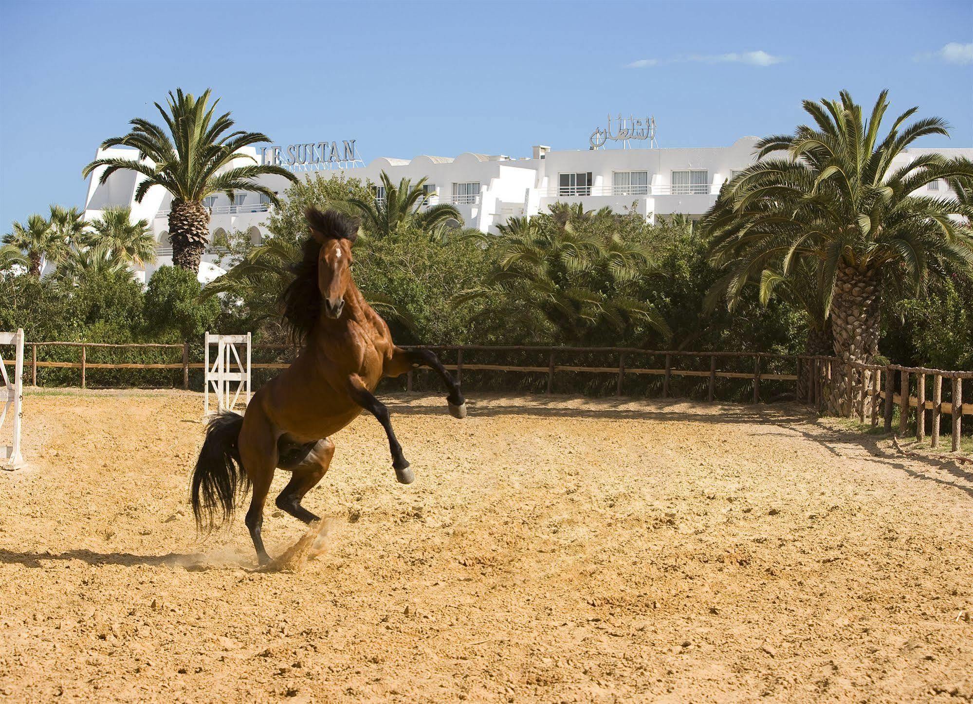 Hotel Le Sultan 4*